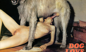 Animal Perversion - Dog Love