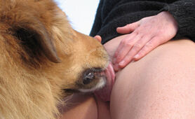 Mrs. Viper's Exciting Meeting Bestiality photos, great FREE collection 24