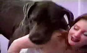 Dog tasting juicy pussy