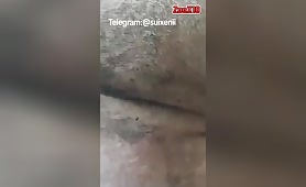 fisting female pig anal