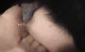 Dog fuck anal