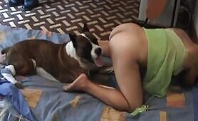 Dog Love - EXCLUSIVE LEGASY