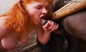 Lesbos gives blowjob to pony 