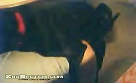 Webcam - Women and her dog yahoocam stickam cam4 sheets
