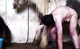 Cob Stallion Fun (Two)  GayBeast com