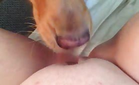 doggy licking my wet pussy