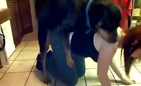 dog hump teen