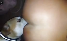 pit licking girl