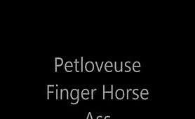 stallion fingering