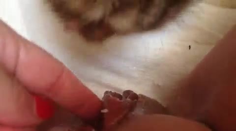 Licking Pussy Lips