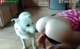 licking from sexy animal