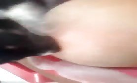 Porno Woman Breastfeeding Milk Puppy