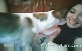 dog sucking nipples