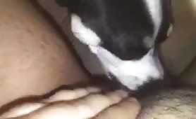 licking my pussy again
