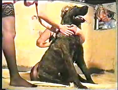 Puppy trainer - Zoo sex porn - Zoosexnet