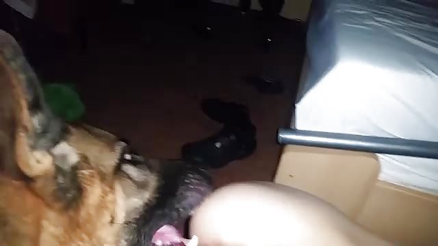 Dog couple sex and Tremendous orgy