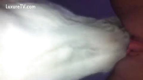 Deepest Dog Lick Ever - LuxureTV