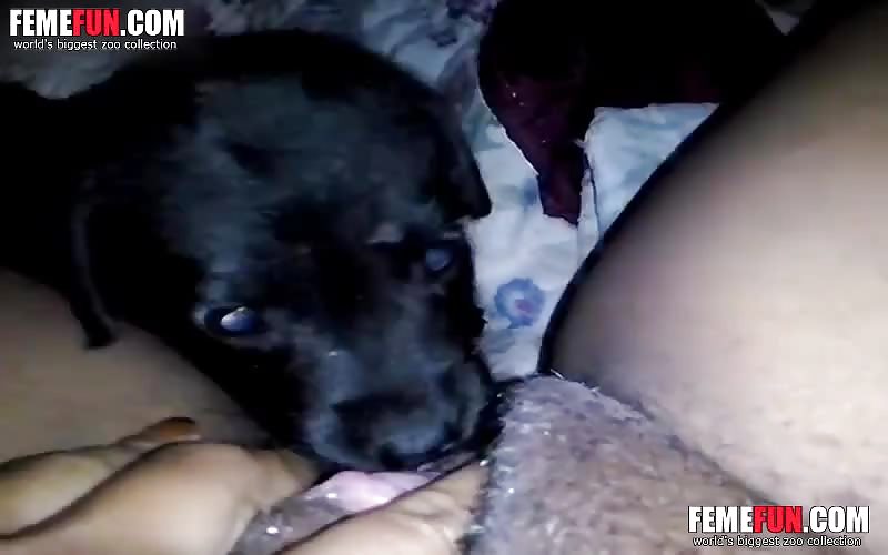 Zoophilia Porn - A Dog licks the vagina of a Girl Only Real