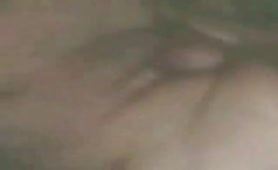 Pussy pounded by dog