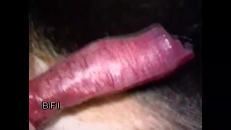Unknown blond in BFI - Young Girls Like Dog Pricks