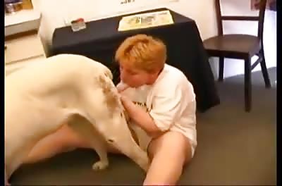 Sucks dog properly
