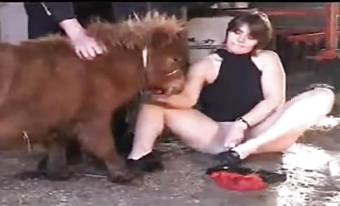 Horse Cock Porno