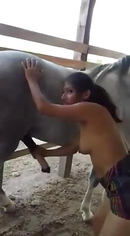 Mexican wife jerking horse cock