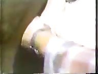 Horse 10