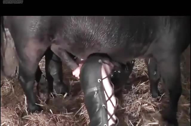 farm girl creampie with horse