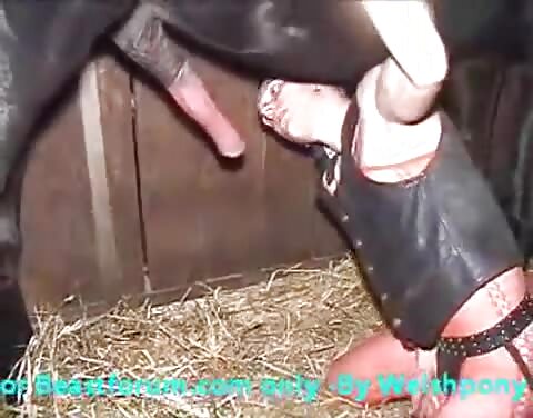 horse cock sucking and cumshot