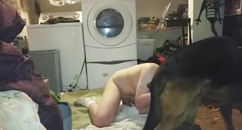 k9 fuck me with creampie in the laundry