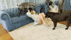 Veronica Silesto - Tiffany Party