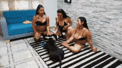 3 Bitches  for a Pitbull