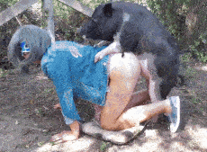 ARIEL PIG DELIVERY