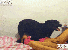 Cupcake - Puppy Dog Tales - Part II