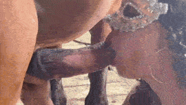 Your penis doesn't fit - Horse - part 2