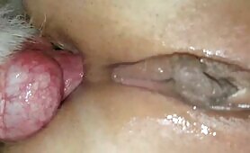 Anal