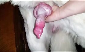 Jerk