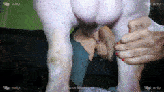 [K9Lady] Ariel & Yasmin - Calvin's Girls (Boar party)