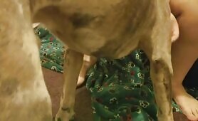 Horny girl have sex with her dog lovely boy [horny-girl-have-sex-with-her-dog-lovely-boy]