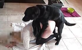 Dogsitter