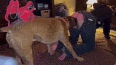 Maria – My Life as a Dog Bitch