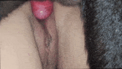 My Dog Whore BE