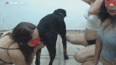 Alison - Love Dog Cock