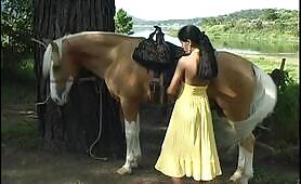 HorseGisele01 HD 720p