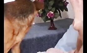 69835 mdog and female