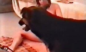 71049 privat home dog sex
