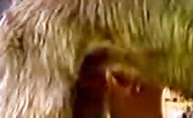 88542 two girls and a big dog