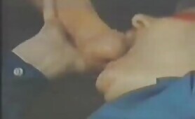 90249 retro horse sex