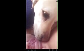another orgasm from doggie